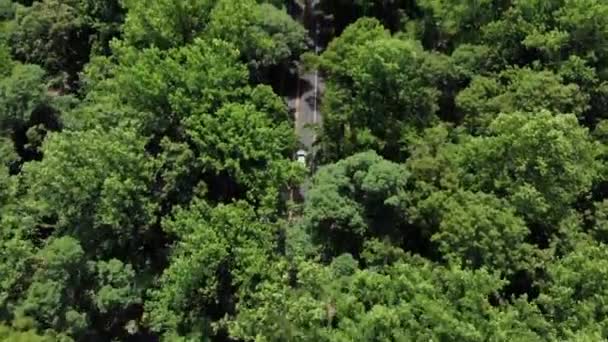 Drohne Aston Martin Fährt Durch Bäume — Stockvideo