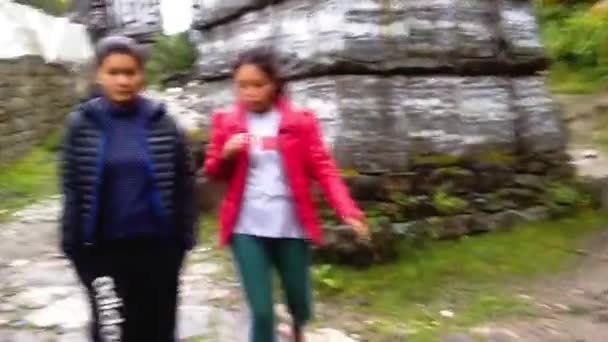 Vandring Smal Stig Högt Bergen Nepal Stenmurar Lokala Flickor Och — Stockvideo