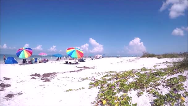 Beach Time Lapse Floryda Tle — Wideo stockowe