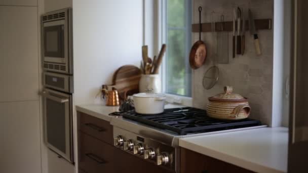 Perfekte Sicht Auf Die Küche — Stockvideo