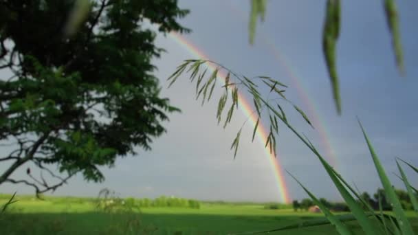 Ein Schöner Regenbogen Über Einer Landschaftlich Reizvollen Landschaft — Stockvideo