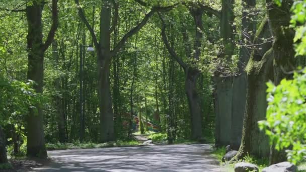 Verborgen Verlaten Betonnen Gebouw Met Grafitti — Stockvideo