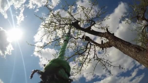 在阳光灿烂的日子里 绳子在没有叶子和戏剧性的云彩的苹果树上摆动 时间流逝 — 图库视频影像
