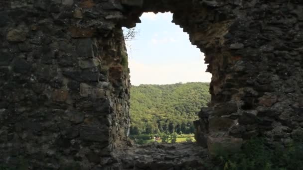 Filmaufnahmen Aus Dem Soimos Zitadelle Fenster Des Sees Arad Rumänien — Stockvideo