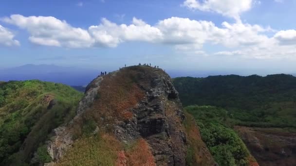 Tiro Montanha Com Floresta — Vídeo de Stock