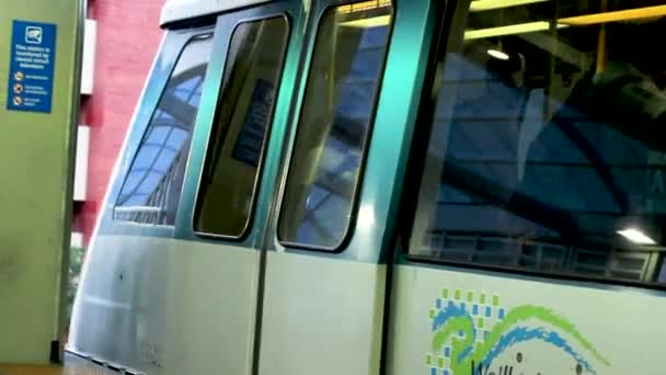 Vlak Jede Miami Area Pozadí — Stock video