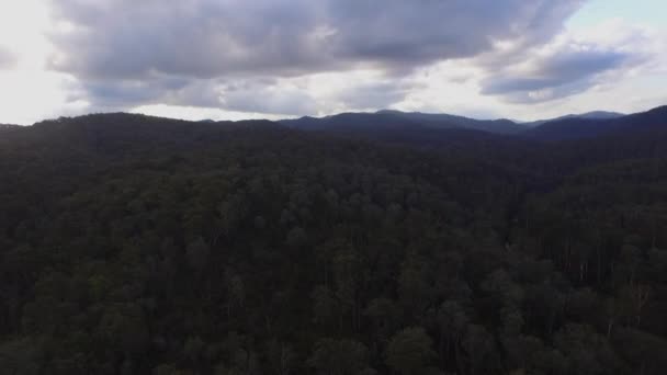 Drone Luchtfoto Van Dichte Bossen Freestone Creek Briagolong Australië Dag — Stockvideo