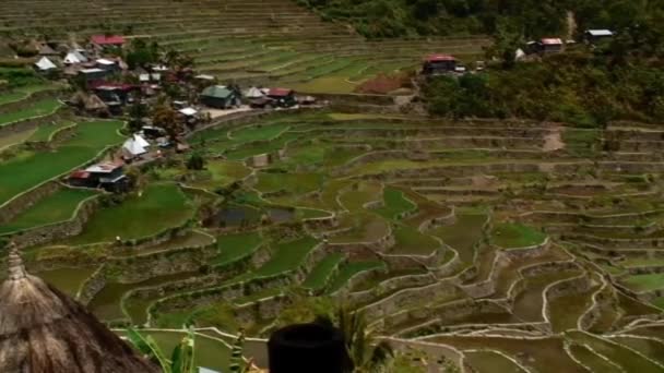 Filipinler Ifugao Daki Batad Rice Terasları Nın Ortasında Bir Köy — Stok video