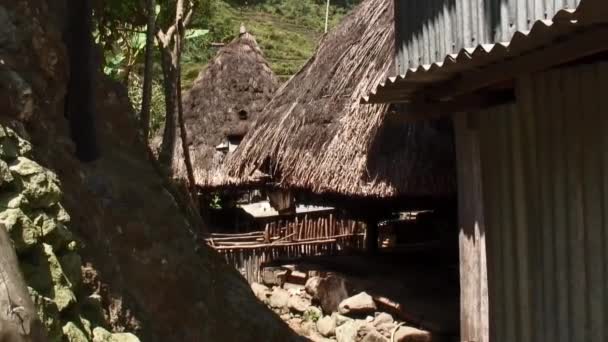 Batad Ifugao Filipinler Yerli Halk Tarafından Barınak Olarak Kullanılan Kogon — Stok video