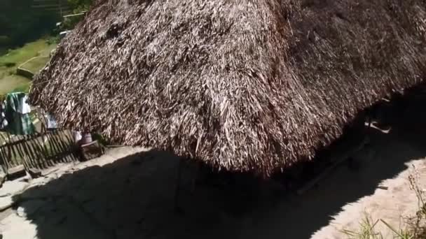 フィリピンのイフガオ州バタッドにあるドライコーングラスで作られた屋根の映像です — ストック動画