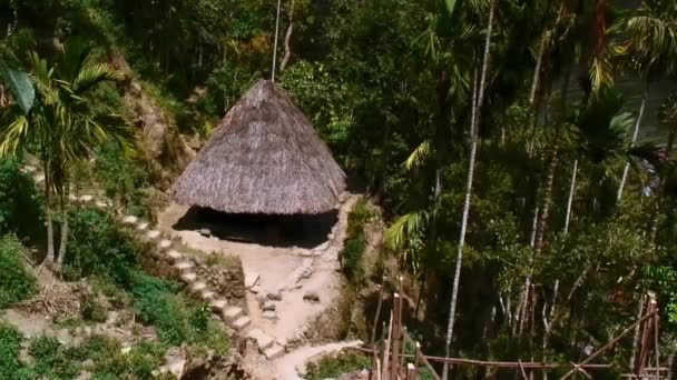 木や竹の真ん中に建てられた家で フィリピンのイフガオ州バタッドにあるコゴングラスで作られています — ストック動画