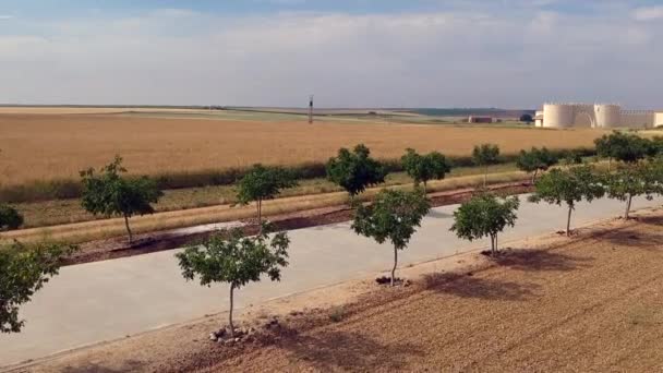 Bodega Gtica Rueda Belediyesinde Nesillerdir Üzüm Üreten Bir Aile Şirketidir — Stok video