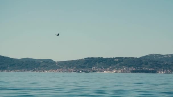 小鸟飞越深蓝色的海洋 — 图库视频影像