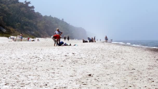 Pessoas Gaivotas Uma Bela Praia Areia Branca Dia Ensolarado — Vídeo de Stock