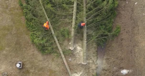 Lumperjackers Bij Wok Schot Van Boven — Stockvideo