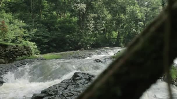 Malé Vodopády Lese Curug Maribaya Lembangu Bandung — Stock video