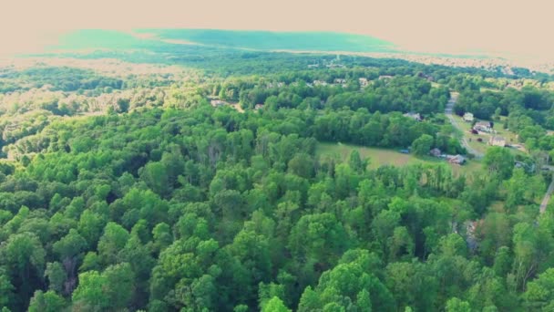 Hermosa Vista Del Bosque — Vídeo de stock