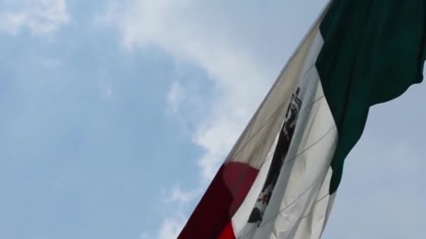 Vrai Drapeau Mexicain Agitant Vent Drapeau Mexicain Est Symbole National — Video