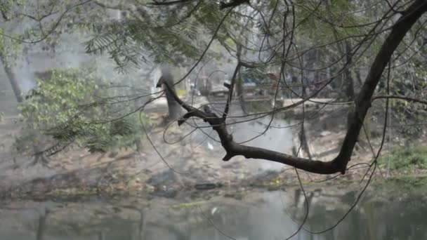 地球上で最も汚染された都市ダッカバングラデシュ — ストック動画