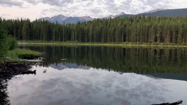 Powiększ Piękne Odbicie Gór Drzew Nad Spokojnym Jeziorem — Wideo stockowe