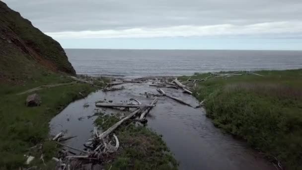 Corrente Correr Para Oceano — Vídeo de Stock