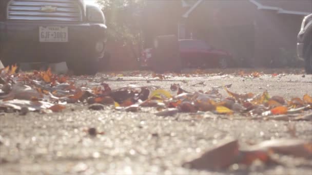 Ανεμοδαρμένη Μέρα Φύλλα Στο Δρόμο — Αρχείο Βίντεο