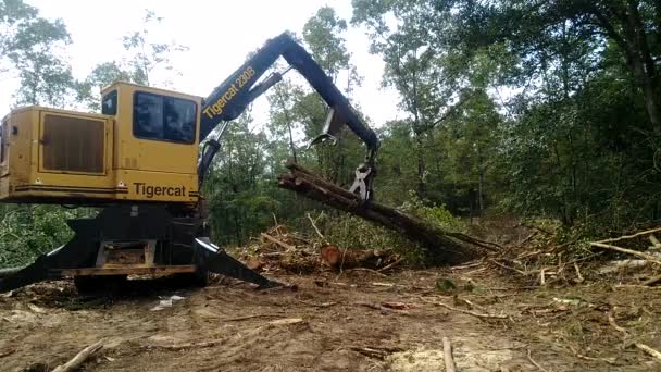 Vista Carregador Log Amarelo — Vídeo de Stock