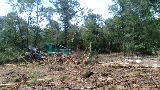 Skidder Trekkende Logs — Stockvideo