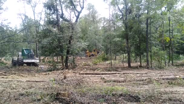 Vista Skidder Forestal — Vídeos de Stock