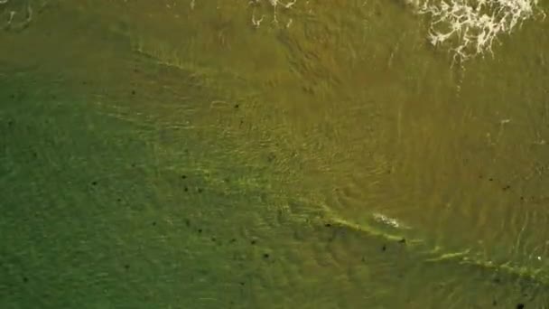 Vue Aérienne Des Vagues Brisant Sur Sable Gibraltar — Video