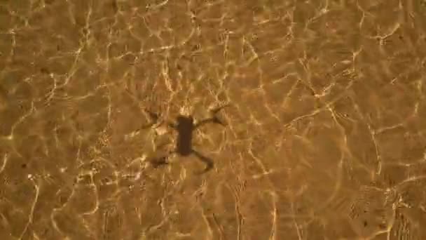 Drone Flying Low Water Looking Its Shadow Climbing People Walking — Stock Video
