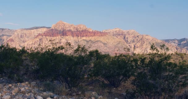 Cepillo Del Desierto Montañas — Vídeo de stock