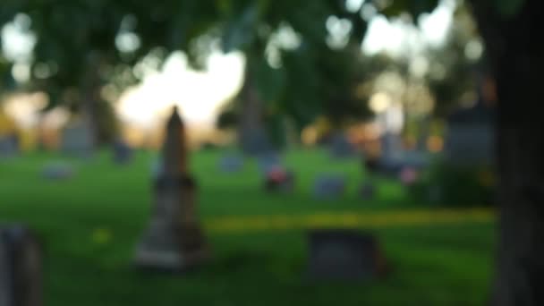 Bokeh Centra Cementerio Con Hojas Primer Plano — Vídeos de Stock