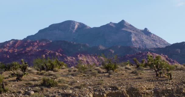 Montagna Roccia Viola Nel Deserto — Video Stock