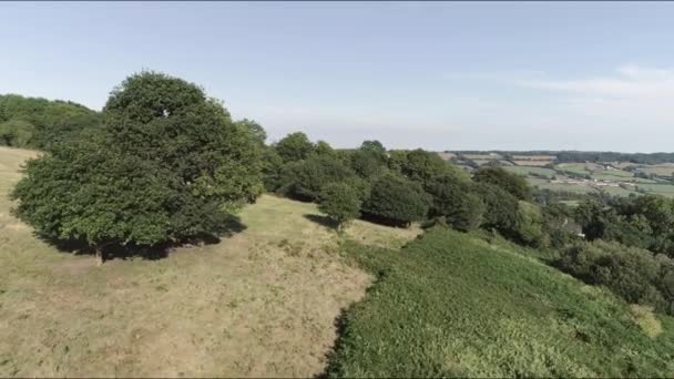 Aerial Tracking Forward Green Bracken Common Land Trees Fields East — Vídeo de Stock