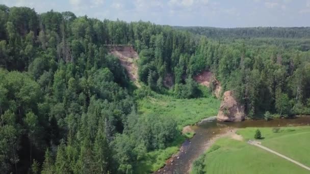 Леса Поля Речной Дрон — стоковое видео