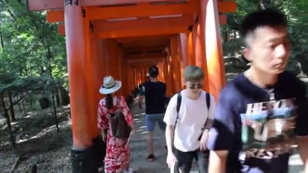 Mengambang Torii Arsitektur Jepang Sebuah Kuil — Stok Video