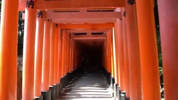 Schwimmende Torii Japanische Architektur Einem Tempel — Stockvideo