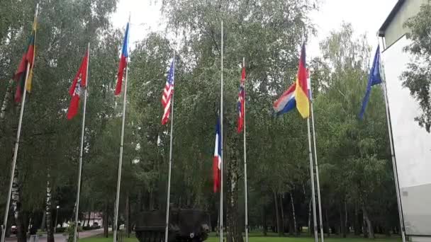 Die Flaggen Der Nato Verbündeten Tag — Stockvideo