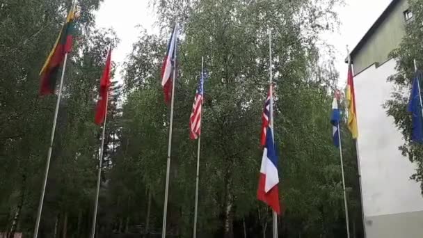 Bendera Sekutu Nato Pada Hari Itu — Stok Video