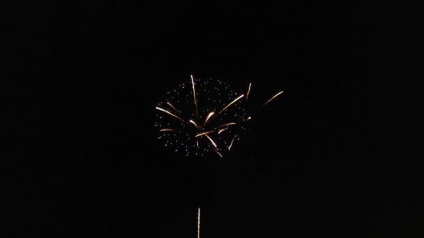 Imágenes Aéreas Fuegos Artificiales Sobre Agua Rin Hesse Alemania — Vídeos de Stock