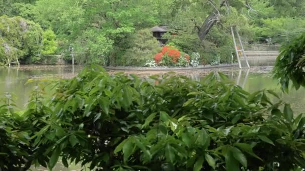 Вид Воду Сада Риоань Джи Киото Япония — стоковое видео