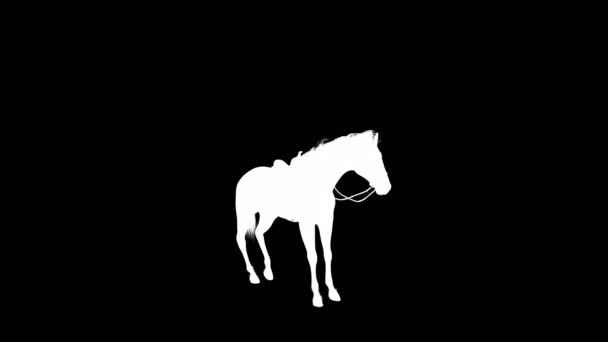 Silueta Animación Stallion Horse Rise Como Canal Png Alpha Sin — Vídeo de stock