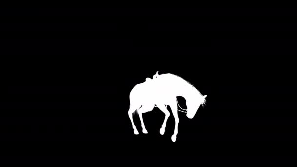 Hengst Horse Fall Animatie Silhouet Als Verliesloos Png Alpha Kanaal — Stockvideo