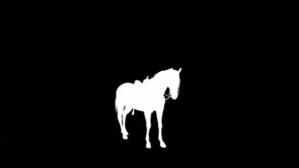 Hengst Horse Stand Animatie Silhouet Als Verliesloos Png Alpha Kanaal — Stockvideo