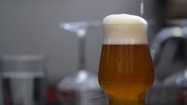 Garçom Colher Espuma Uma Cerveja Artesanal — Vídeo de Stock