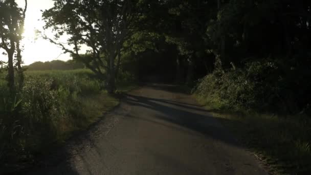 道を歩いている間にドーセットのヘンギストベリーの木の後ろから日の出 — ストック動画