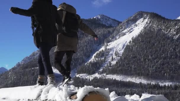 Duas Pessoas Caminhando Equilibrando Galho Árvore Nevada Uma Área Montanha — Vídeo de Stock