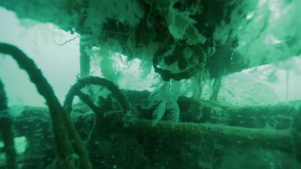 Scuba Diving World War Wreckage Shot Solomon Islands — Stock Video