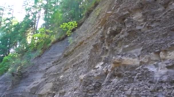 Roger Creek Hål Muren Vancouver Island — Stockvideo
